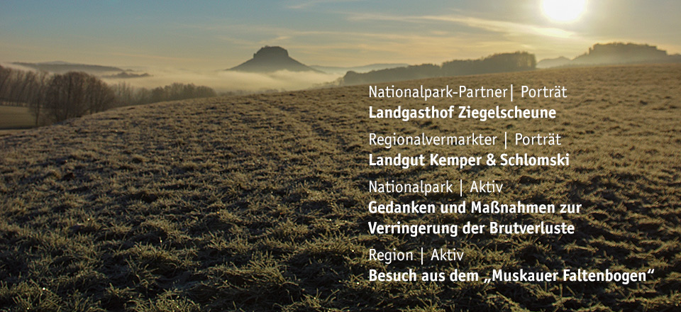 März 2019 - 108. Ausgabe Sandstein Schweizer
