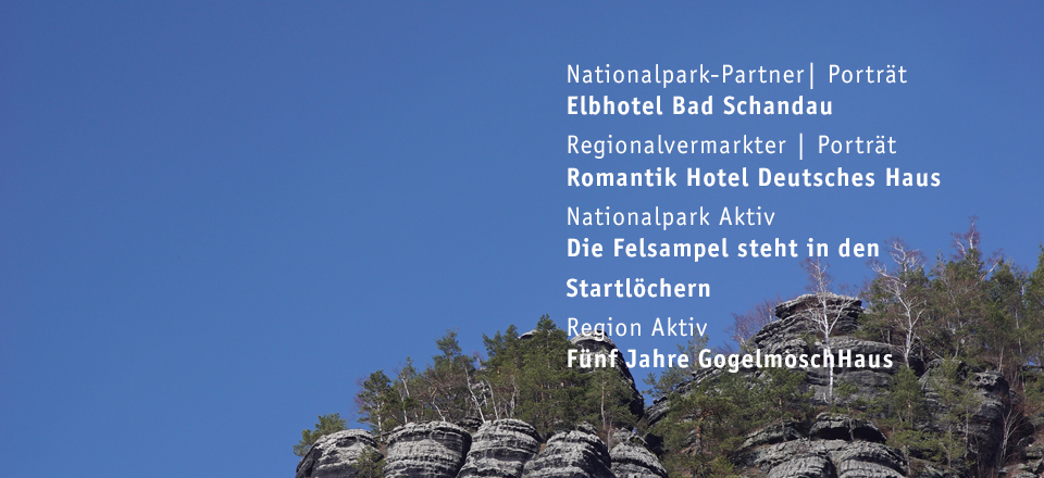 April 2019 - 109. Ausgabe Sandstein Schweizer